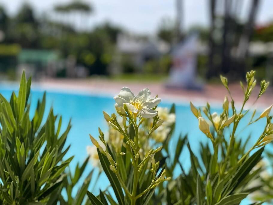 Cozy & Modern Bungalow W/Private Garden Bbq+Wifi Maspalomas  Dış mekan fotoğraf